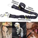 Ceinture de sécurité pour chien : Protégez votre compagnon en voiture 🚗🐾